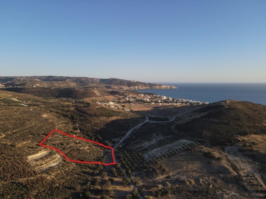 (For Sale) Land Plot out of Settlement || Irakleio/Tympaki - 6.000 Sq.m, 250.000€ 