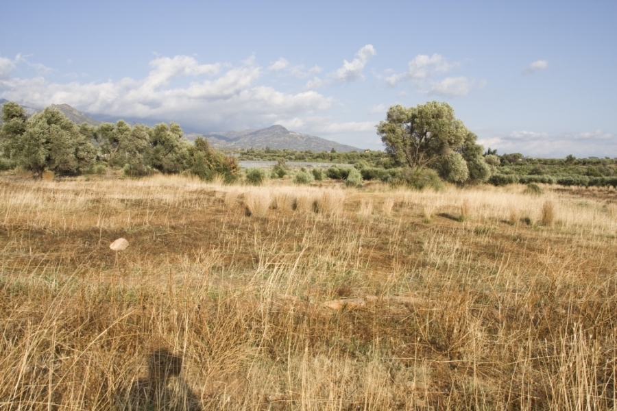 (For Sale) Land Agricultural Land  || Irakleio/Tympaki - 7.500 Sq.m, 32.000€ 
