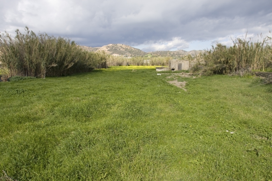 (For Sale) Land Plot for development || Irakleio/Tympaki - 1.300 Sq.m, 150.000€ 