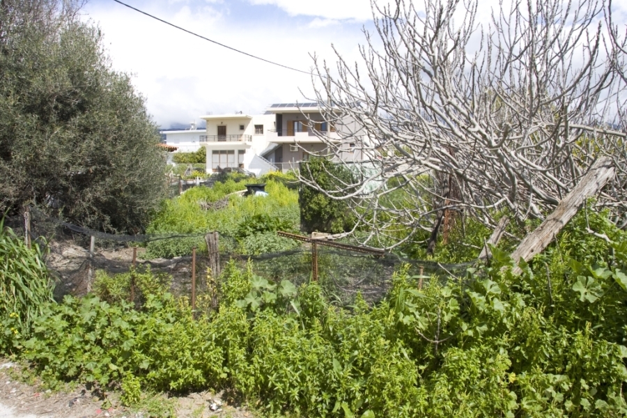 (Προς Πώληση) Αξιοποιήσιμη Γη Οικόπεδο εντός σχεδίου || Ν. Ηρακλείου/Τυμπάκι - 600 τ.μ, 1€ 