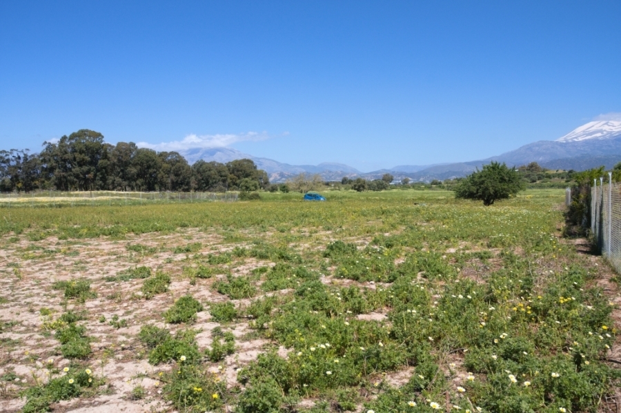 (For Sale) Land Agricultural Land  || Irakleio/Tympaki - 3.500 Sq.m, 1€ 