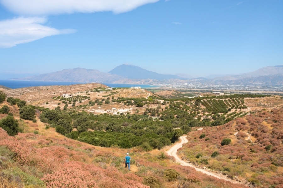 (For Sale) Land Plot out of City plans || Irakleio/Tympaki - 4.400 Sq.m, 145.000€ 