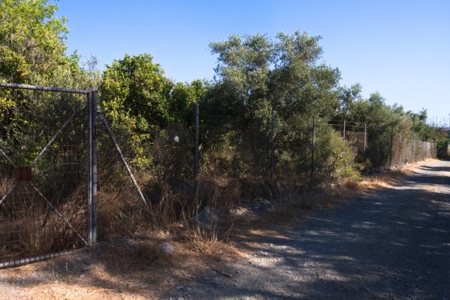 (For Sale) Land Agricultural Land  || Irakleio/Tympaki - 5.000 Sq.m, 55.000€ 