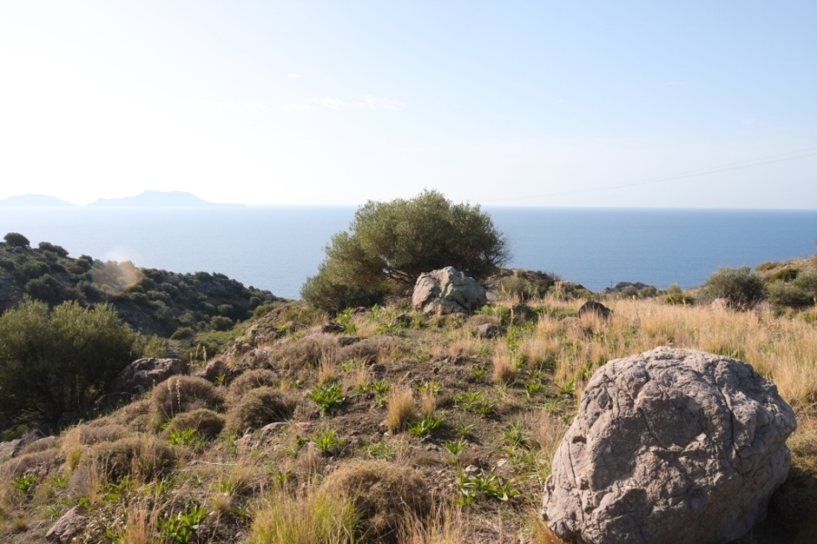 (Προς Πώληση) Αξιοποιήσιμη Γη Οικόπεδο εκτός σχεδίου || Ν. Ρεθύμνου/Λάμπη - 4.020 τ.μ, 130.000€ 