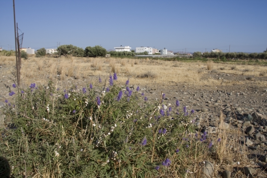 (Προς Πώληση) Αξιοποιήσιμη Γη Οικόπεδο εκτός σχεδίου || Ν. Ηρακλείου/Τυμπάκι - 3.489 τ.μ, 135.000€ 