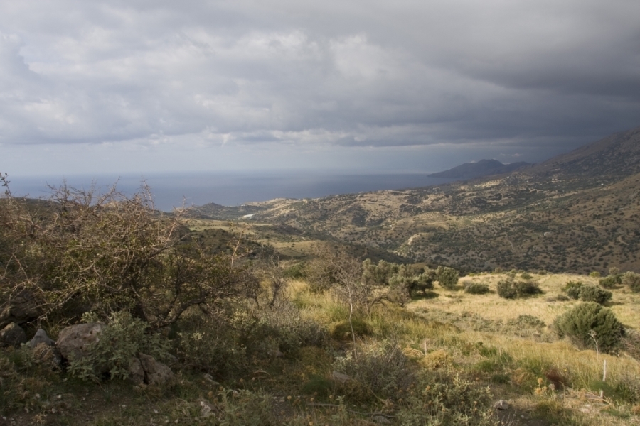 (Προς Πώληση) Αξιοποιήσιμη Γη Οικόπεδο εκτός σχεδίου || Ν. Ρεθύμνου/Λάμπη - 9.800 τ.μ, 250.000€ 