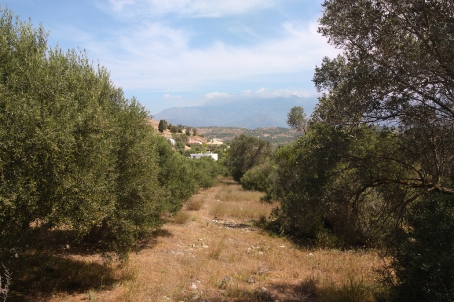 (Προς Πώληση) Αξιοποιήσιμη Γη Οικόπεδο || Ν. Ηρακλείου/Τυμπάκι - 2.650 τ.μ, 140.000€ 