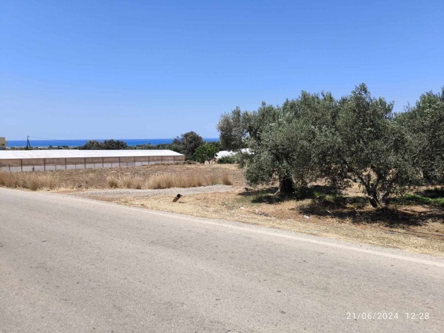 (Προς Πώληση) Αξιοποιήσιμη Γη Οικόπεδο εκτός σχεδίου || Ν. Ηρακλείου/Τυμπάκι - 1.980 τ.μ, 130.000€ 