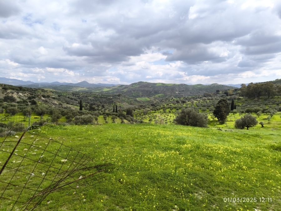 (Προς Πώληση) Αξιοποιήσιμη Γη Οικόπεδο εκτός σχεδίου || Ν. Ηρακλείου/Γόρτυνα - 6.765 τ.μ, 110.000€ 