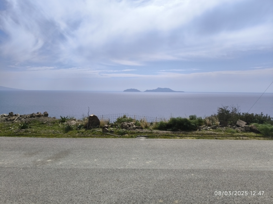 (Προς Πώληση) Αξιοποιήσιμη Γη Οικόπεδο εκτός σχεδίου || Ν. Ρεθύμνου/Λάμπη - 5.000 τ.μ, 250.000€ 