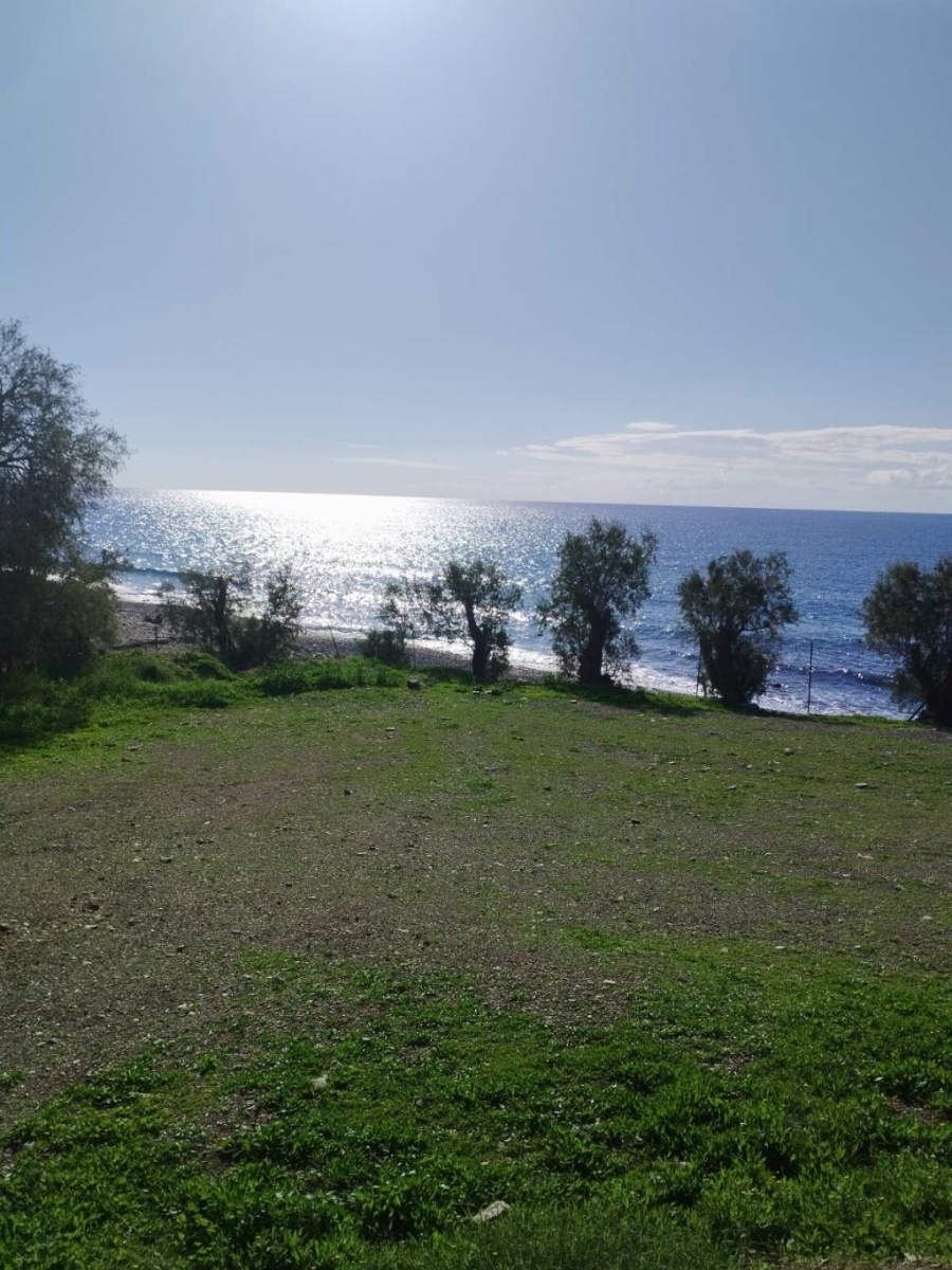 (For Sale) Land Plot out of City plans || Irakleio/Gortyna - 12.000 Sq.m, 1.100.000€ 
