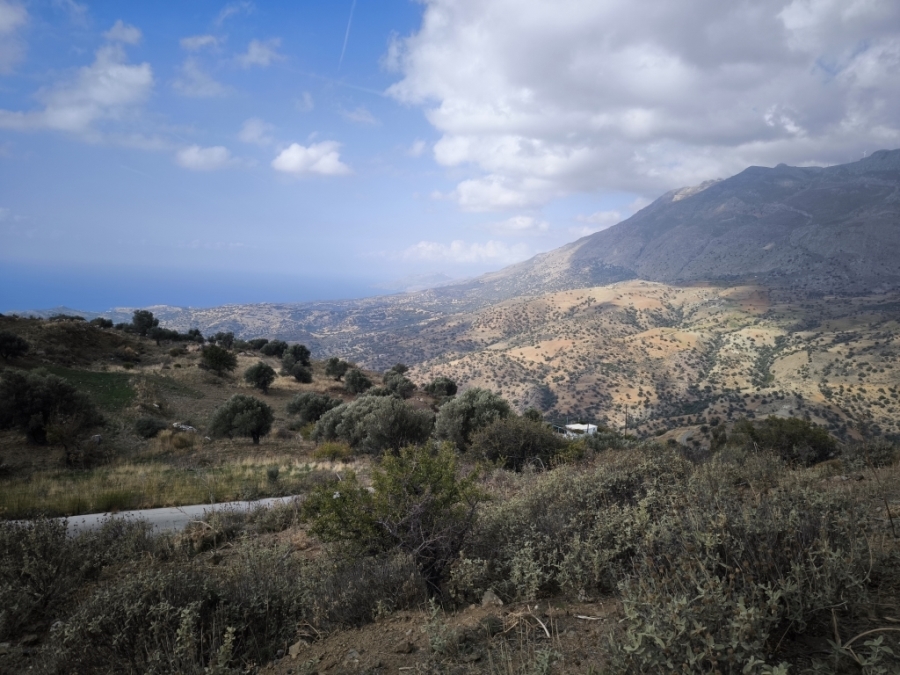 (Προς Πώληση) Αξιοποιήσιμη Γη Οικόπεδο || Ν. Ρεθύμνου/Λάμπη - 2.000 τ.μ, 110.000€ 