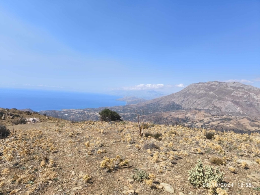 (Προς Πώληση) Αξιοποιήσιμη Γη Έκταση || Ν. Ρεθύμνου/Λάμπη - 45.000 τ.μ, 160.000€ 