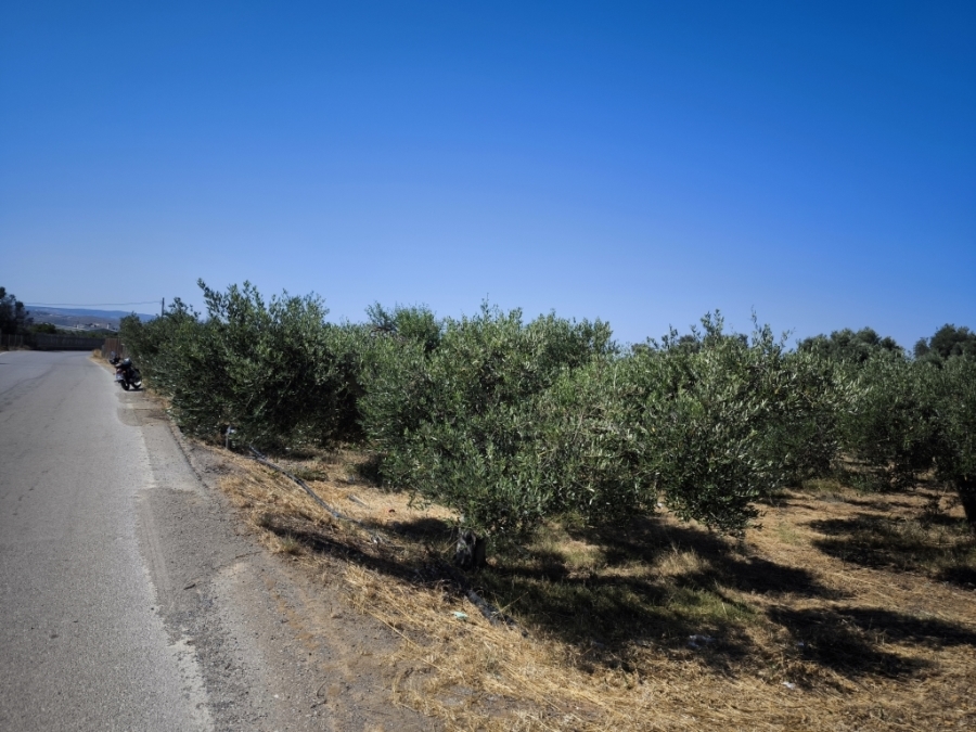 (Προς Πώληση) Αξιοποιήσιμη Γη Αγροτεμάχιο || Ν. Ηρακλείου/Τυμπάκι - 1.150 τ.μ, 16.000€ 